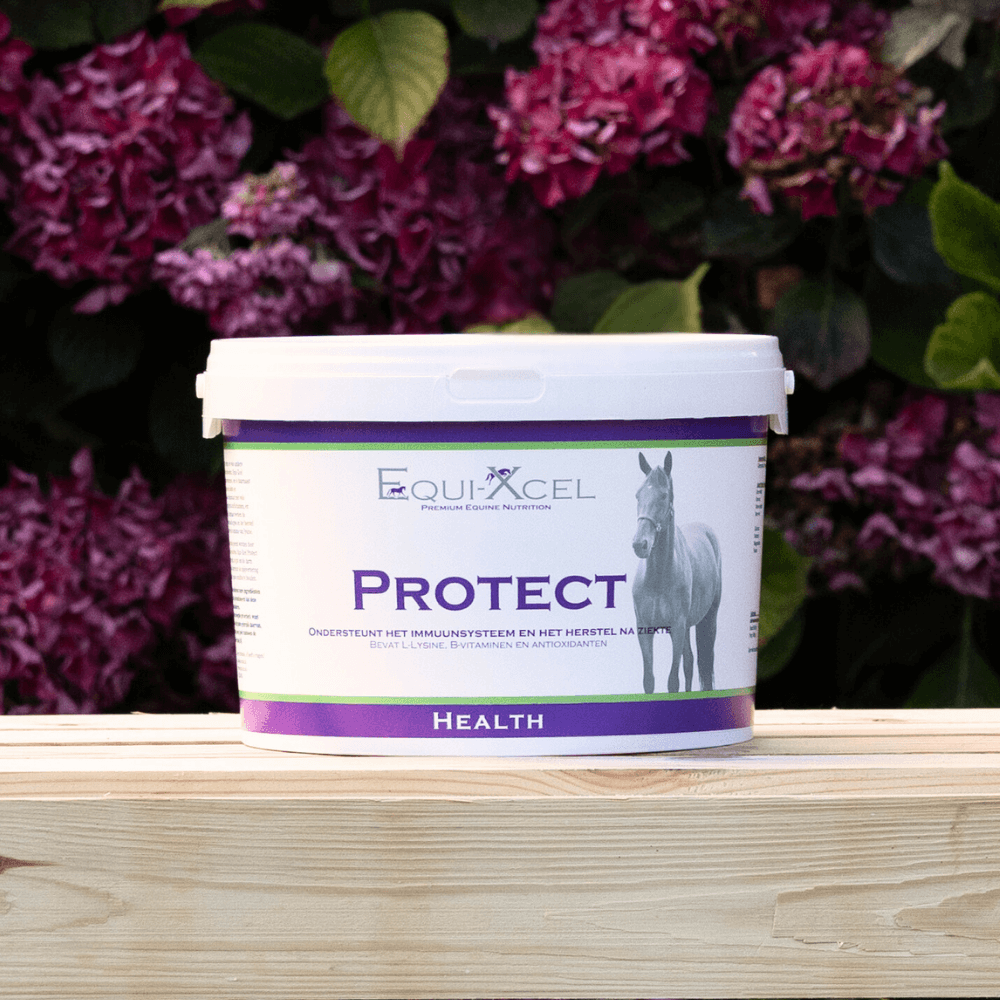 Protect afbeelding 2