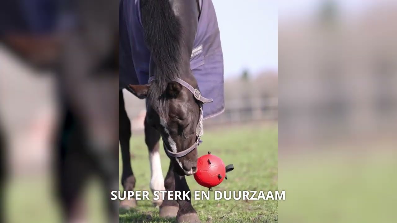 Excellent Horse Fun Play Ball Geel