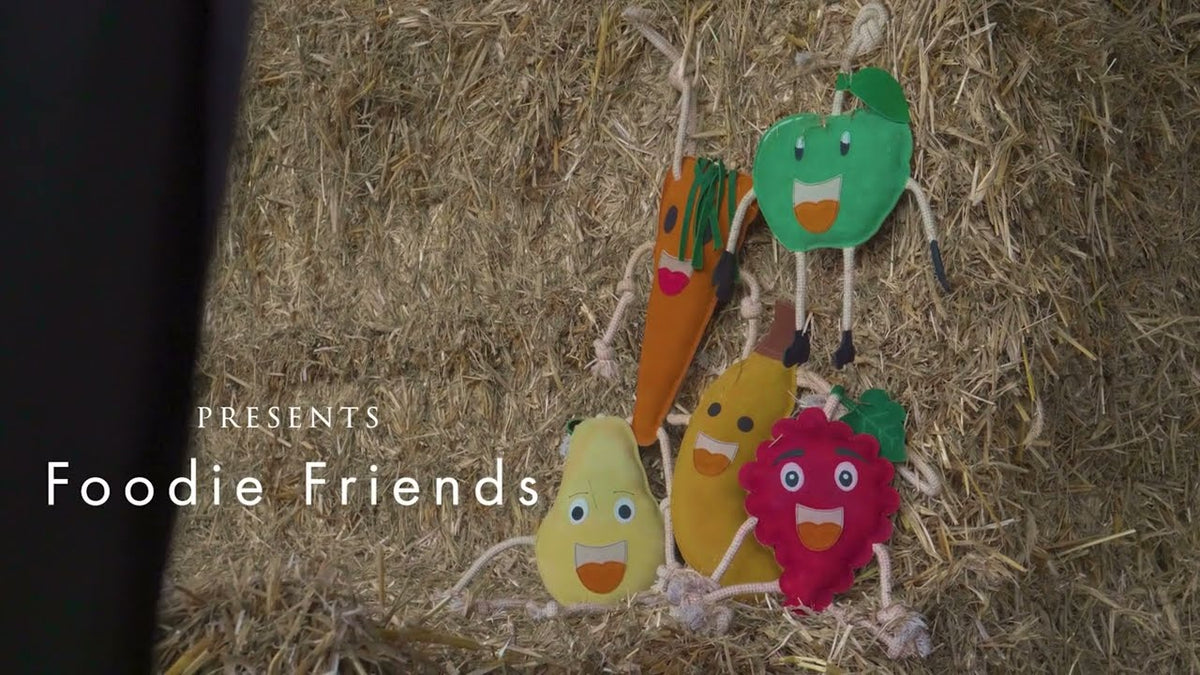 Excellent Horse Foodie Friends Cherry