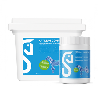 Artilium Complete