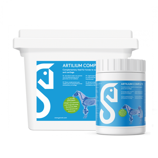 Artilium Complete