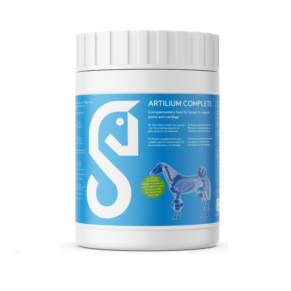 Artilium Complete