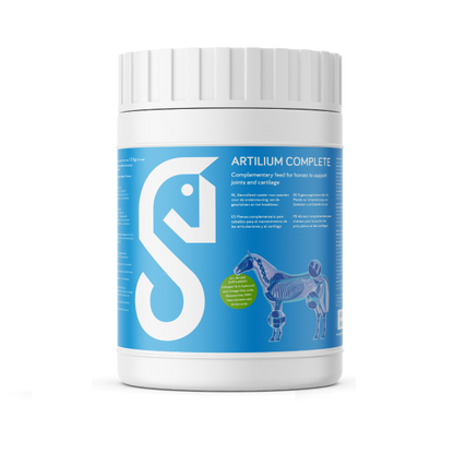 Artilium Complete