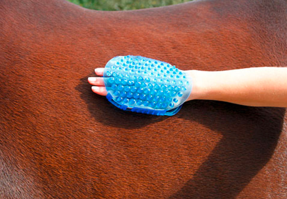 Borstel magneet massage Blauw