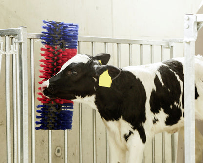 Borstel voor Paard, Rund, Geit