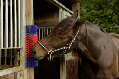 Borstel voor Paard, Rund, Geit