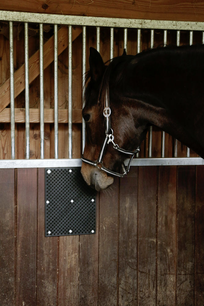 Borstelmat voor Paard, Kalf, Geit 40 x 30 cm