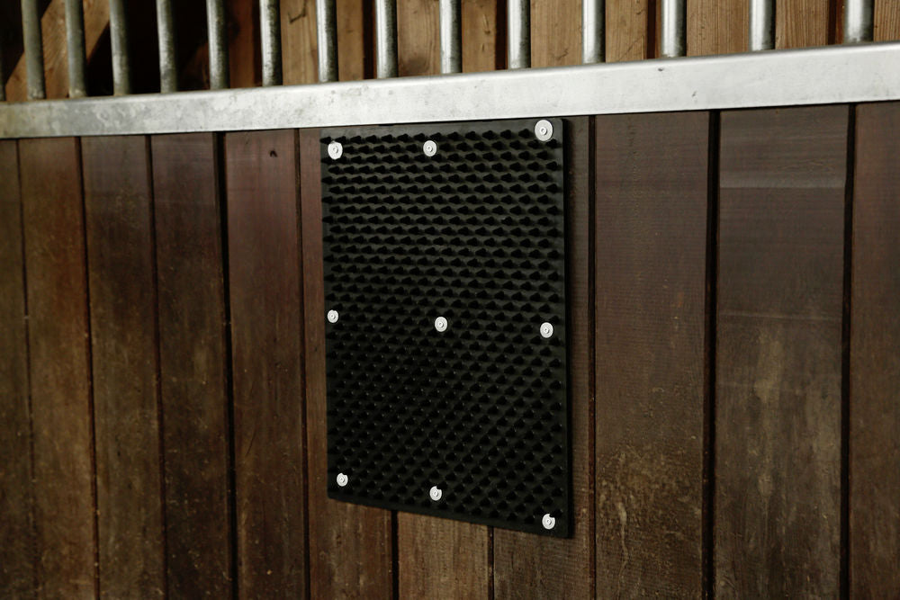 Borstelmat voor Paard, Kalf, Geit 40 x 30 cm