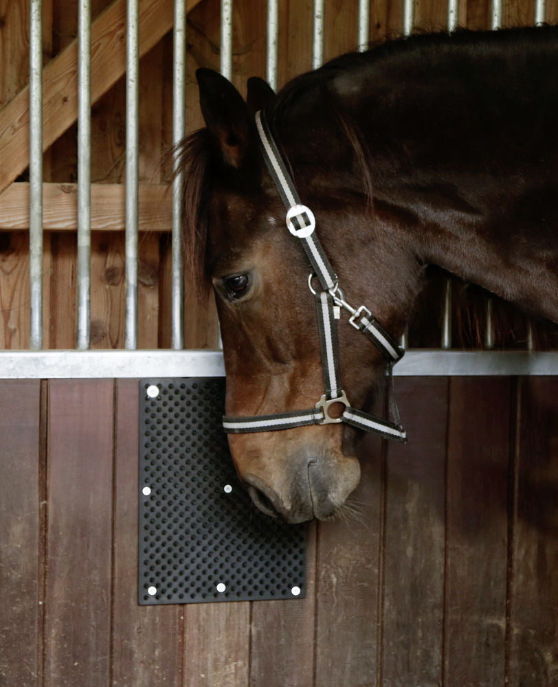 Borstelmat voor Paard, Kalf, Geit 40 x 30 cm
