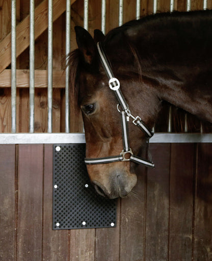 Borstelmat voor Paard, Kalf, Geit 40 x 30 cm