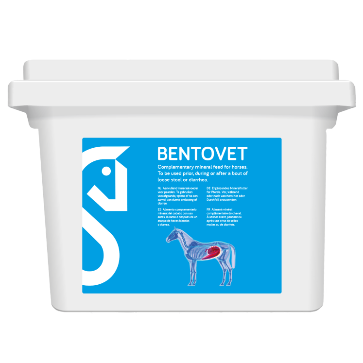 Bentovet