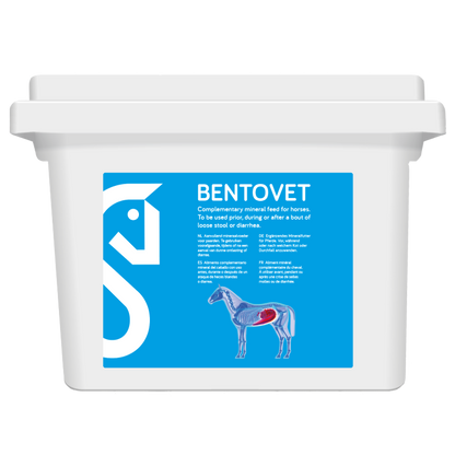 Bentovet