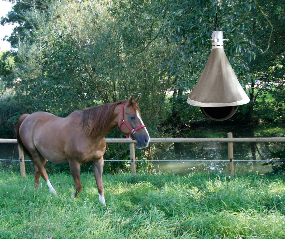 TaonX Dazenval Eco