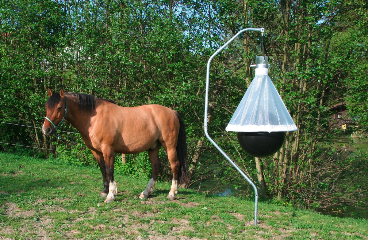 TaonX Dazenval Compleet