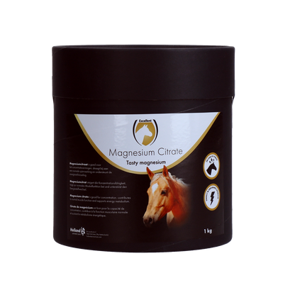Excellent Horse Magnesium Citrate 1 kg