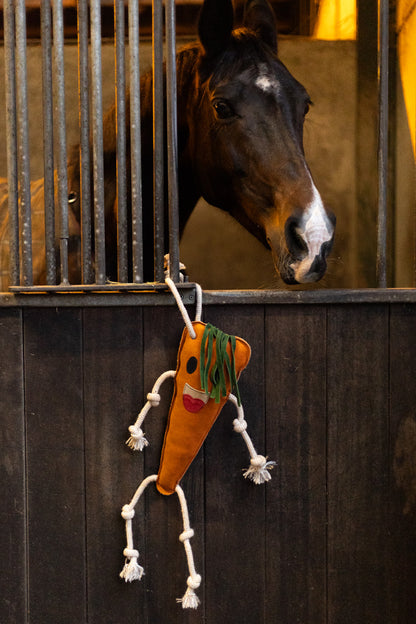 Excellent Horse Foodie Friends Carrot