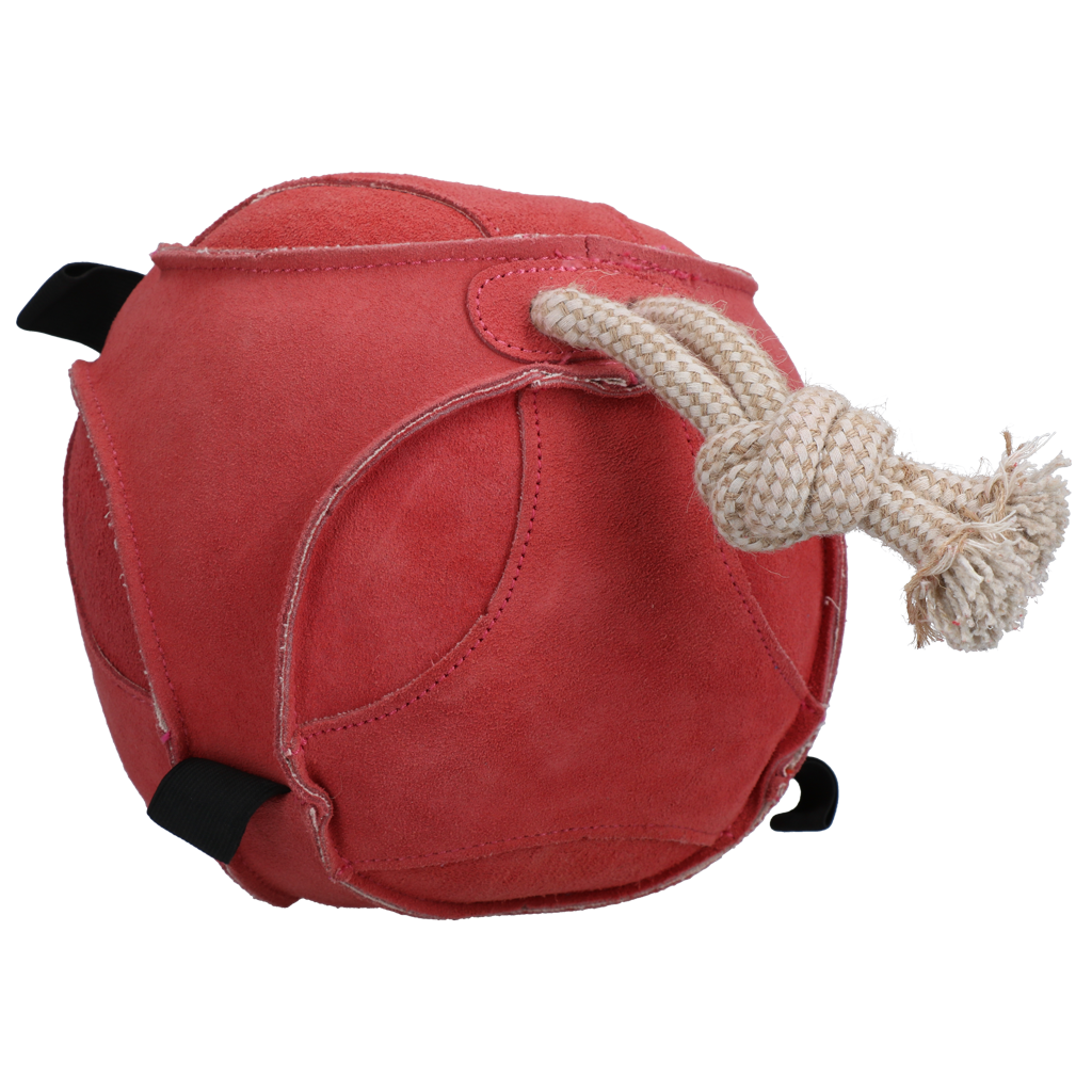 Excellent Horse Fun Play Ball Suede Roze