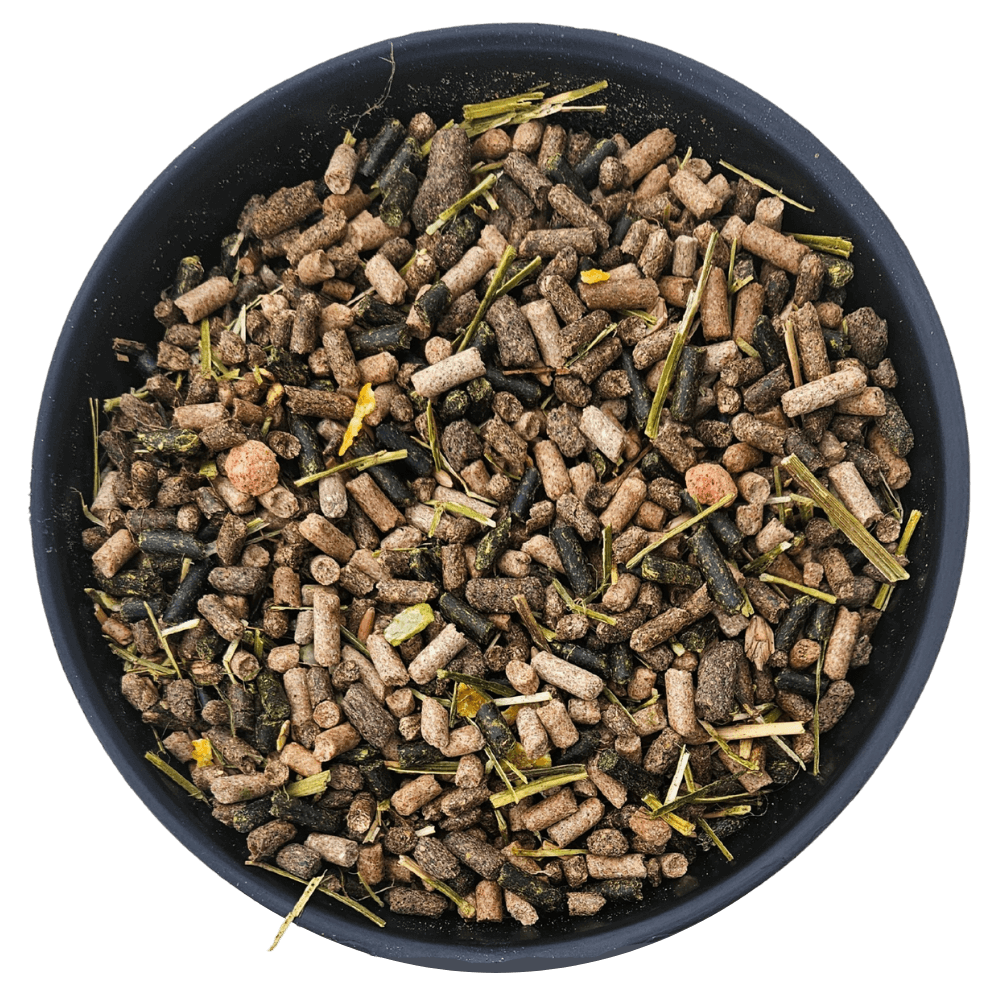 ProForm Blend afbeelding 2