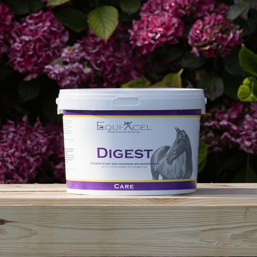 Digest afbeelding 2