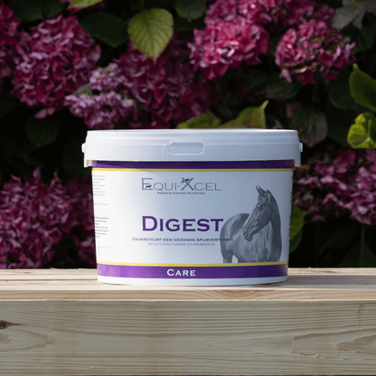 Digest afbeelding 2