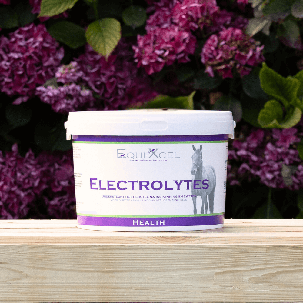 Electrolytes afbeelding 2