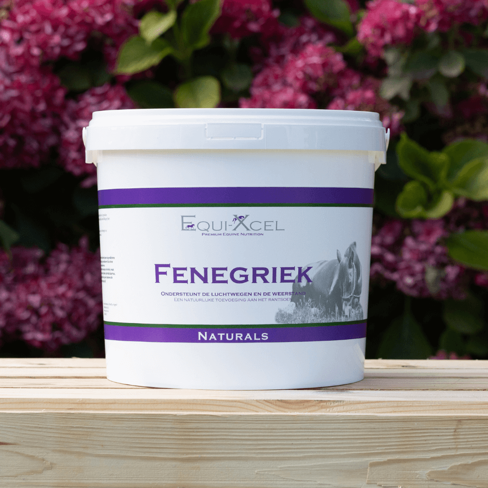 Fenegriek afbeelding 2