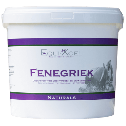 Fenegriek