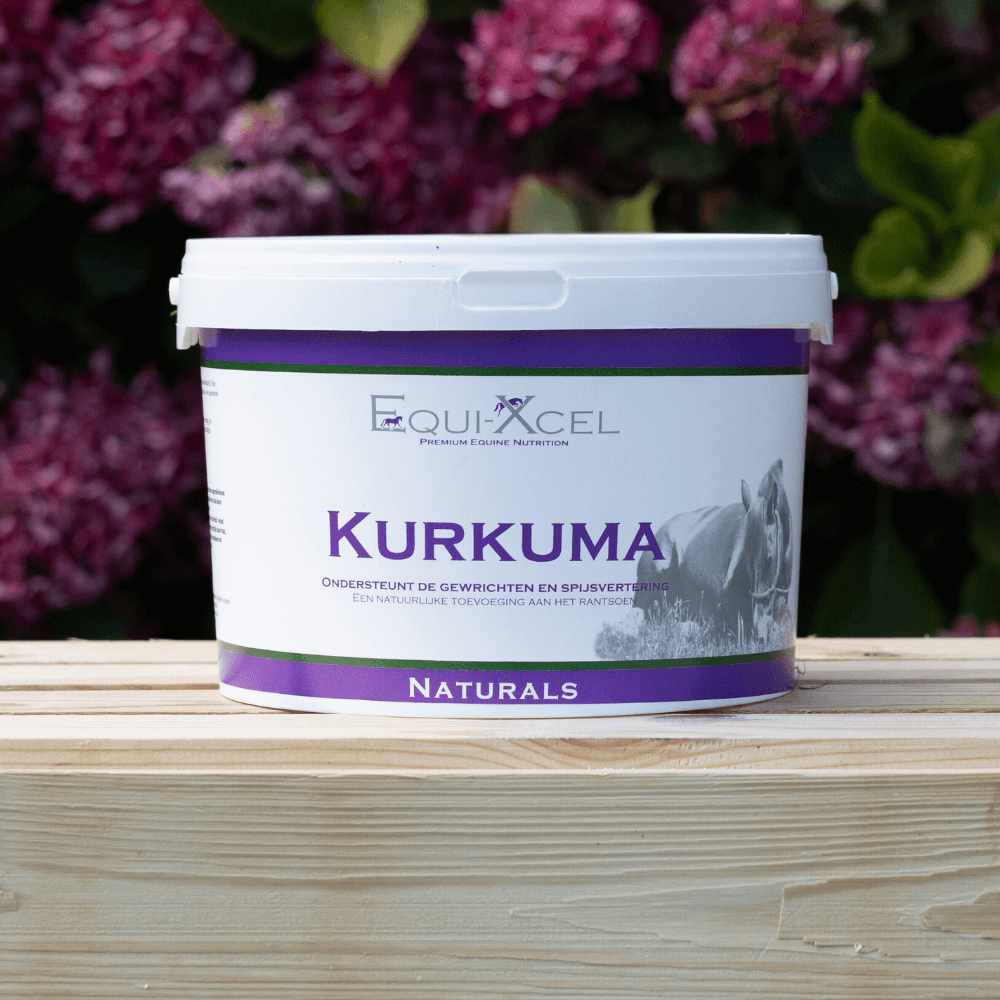 Kurkuma afbeelding 2