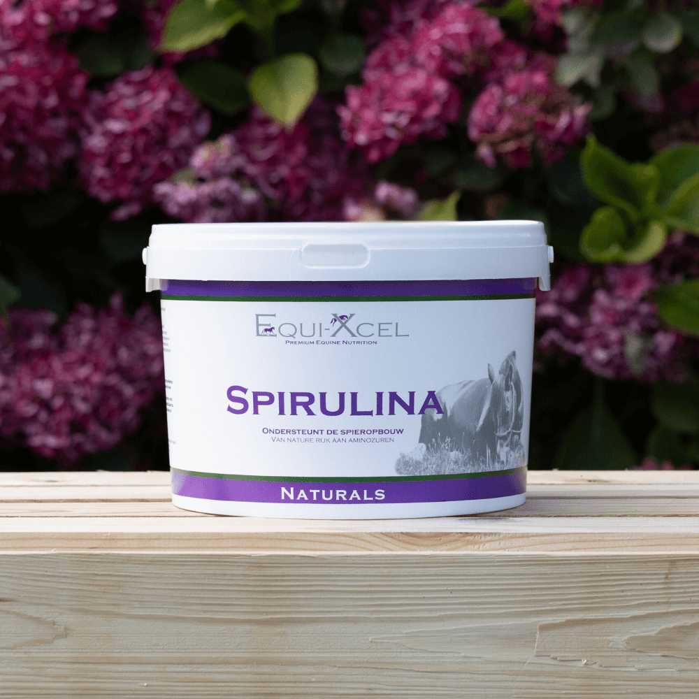 Spirulina afbeelding 2