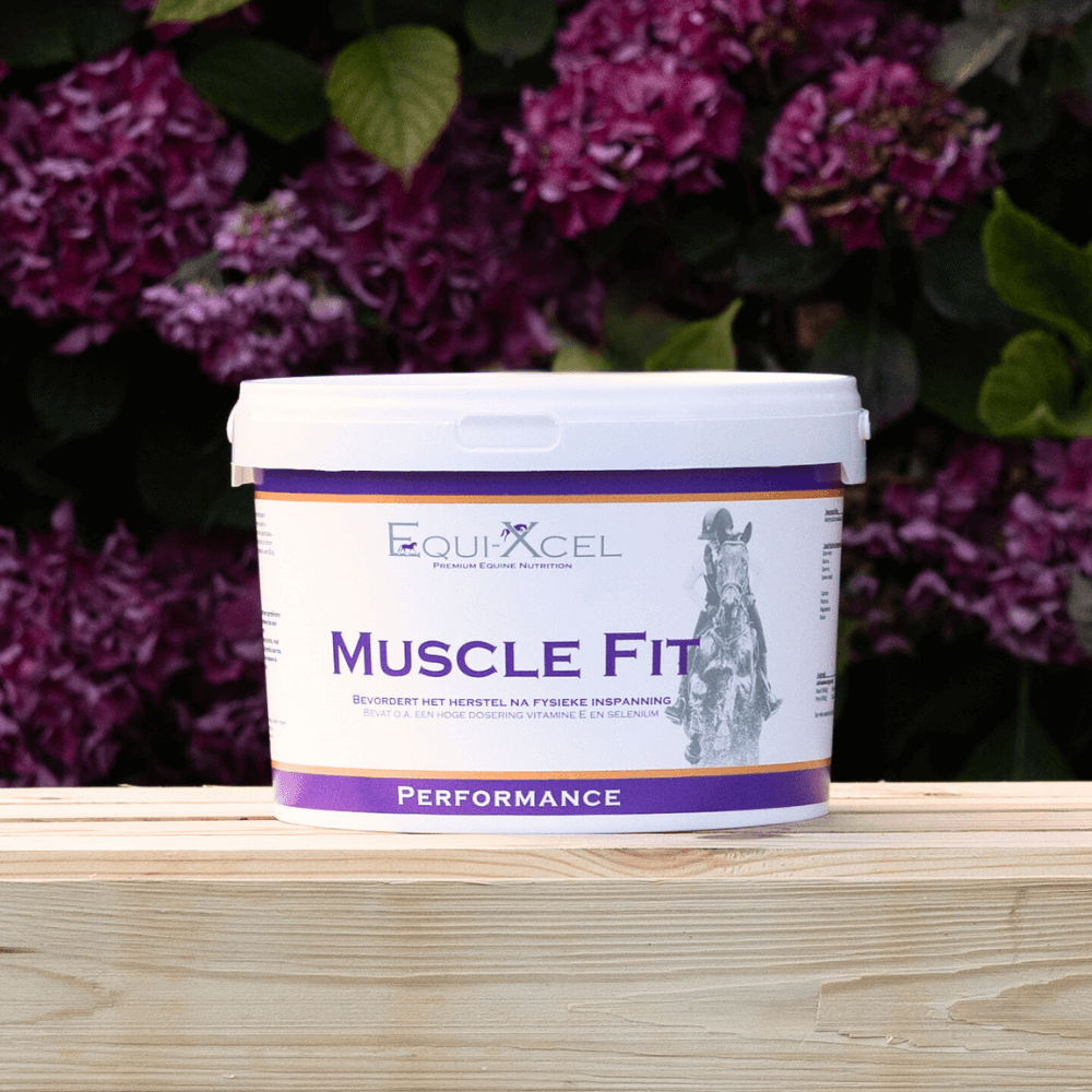 Muscle Fit afbeelding 2