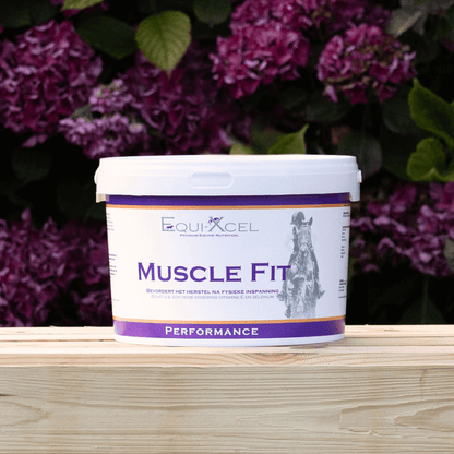 Muscle Fit afbeelding 2