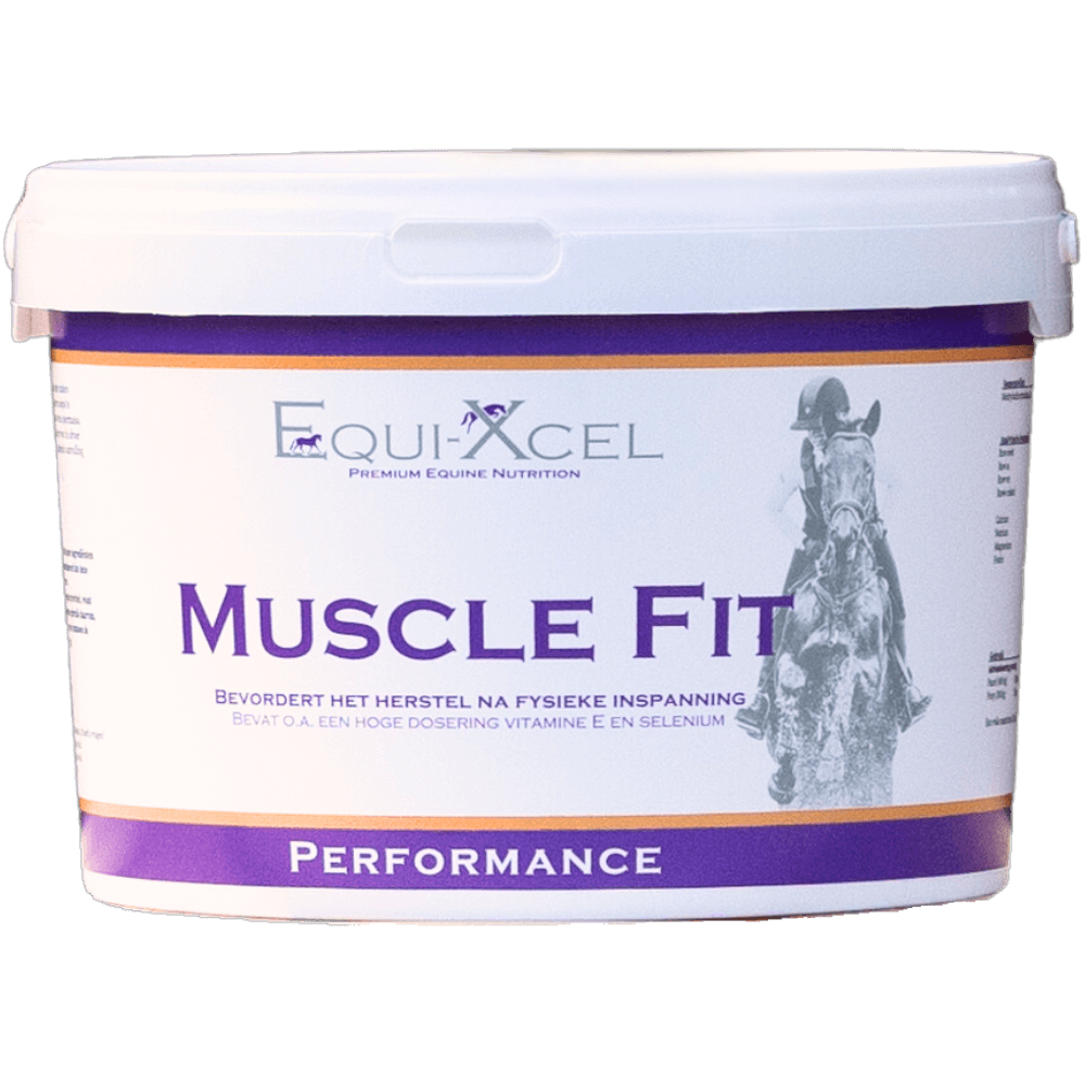 Muscle Fit