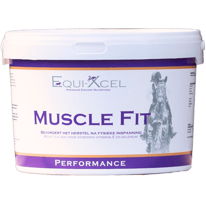 Muscle Fit