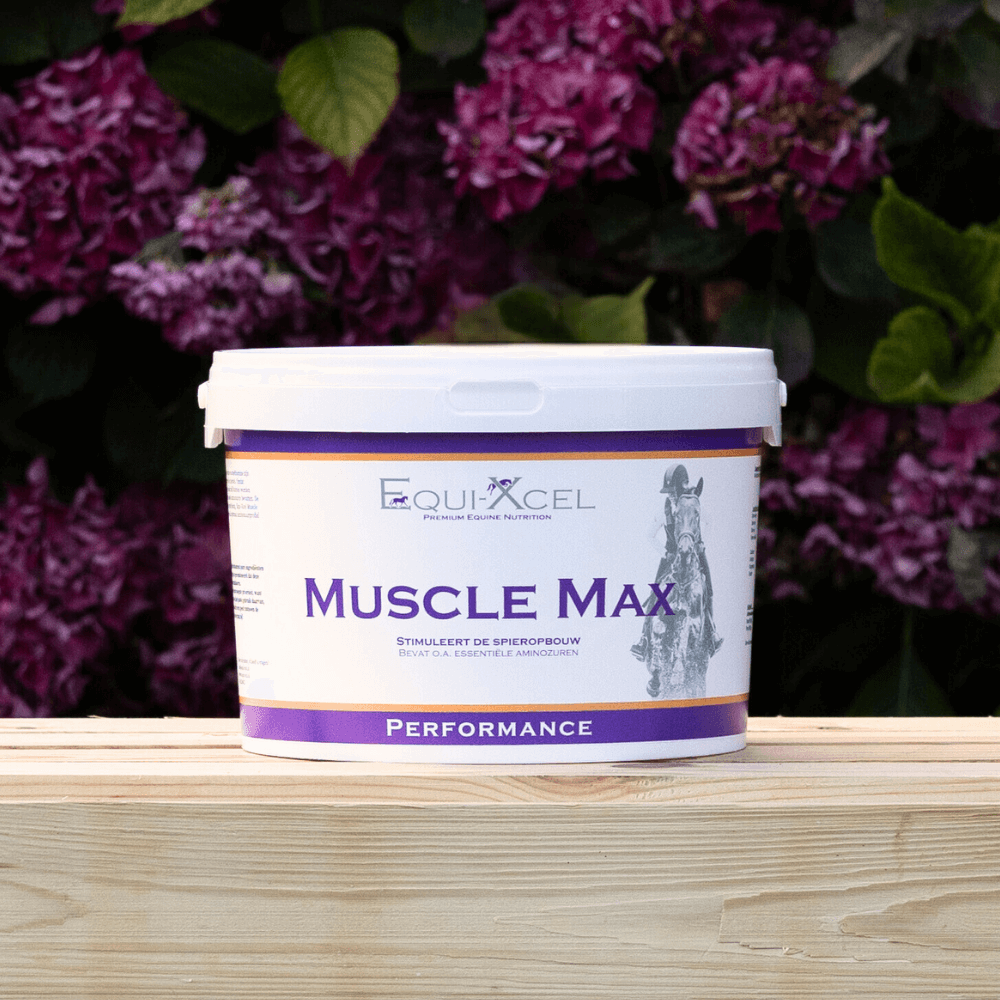 Muscle Max afbeelding 2