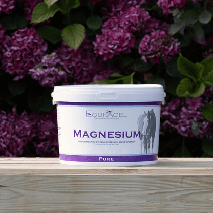 Magnesium afbeelding 2