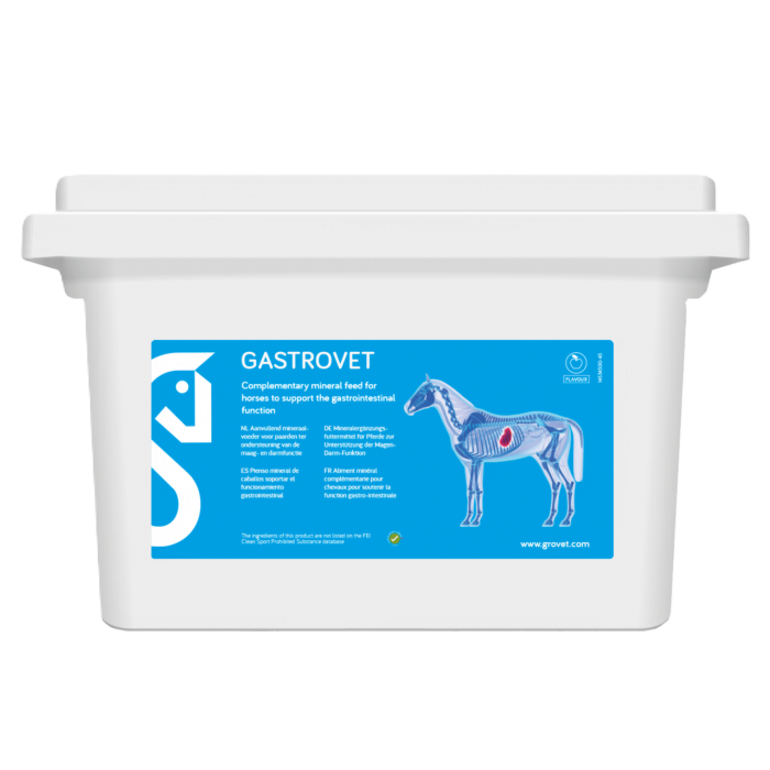 Gastrovet
