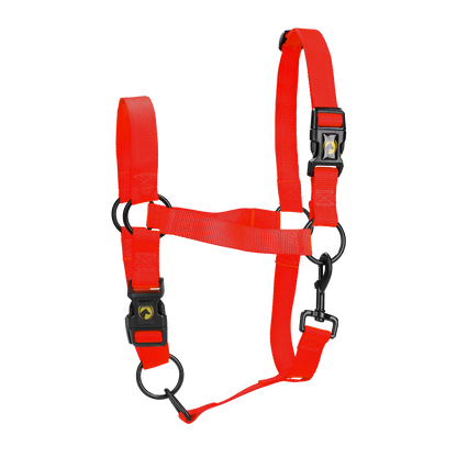 Excellent Essential Halster Rood S