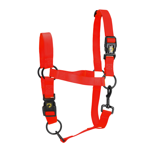 Excellent Essential Halster Rood L