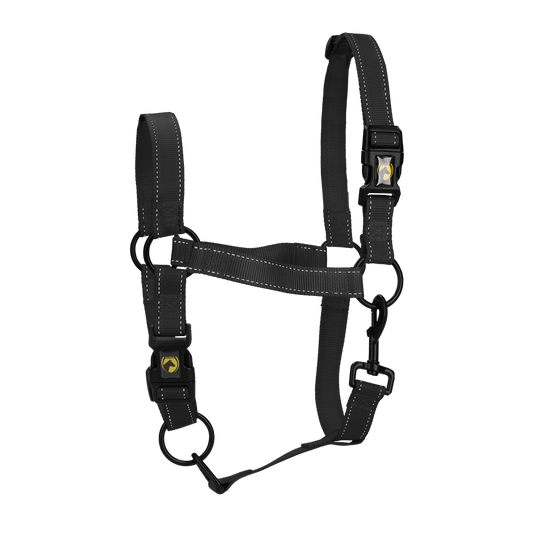 Excellent Premium Halster Zwart L