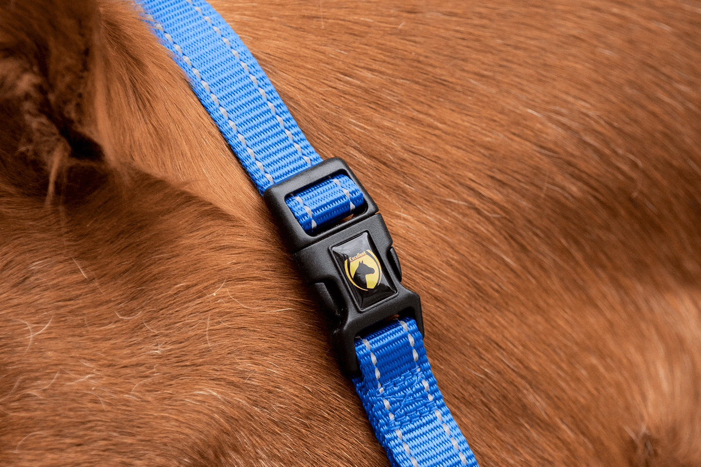 Excellent Superior Halster Blauw XS