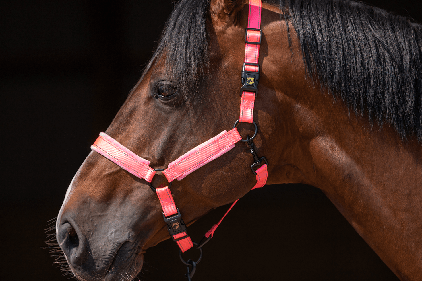 Excellent Superior Halster Roze XS