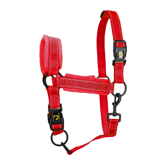 Excellent Superior Halster Rood S