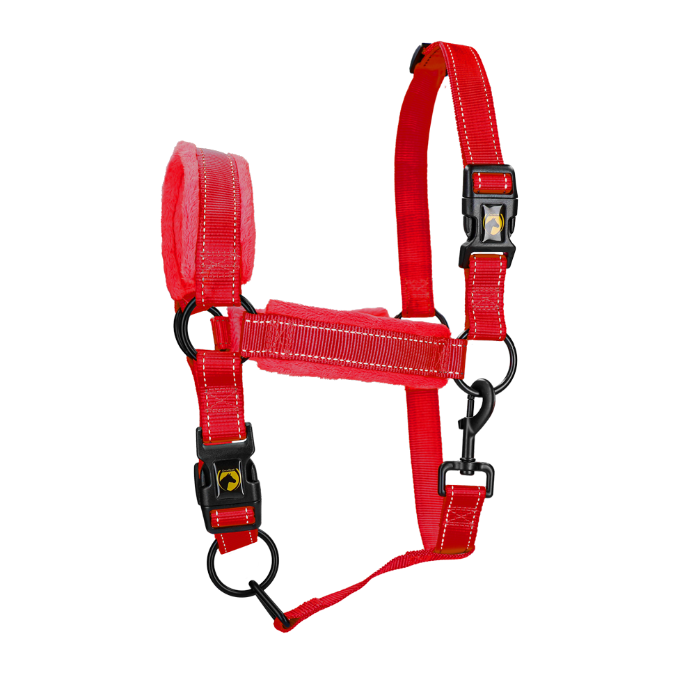 Excellent Superior Halster Rood L