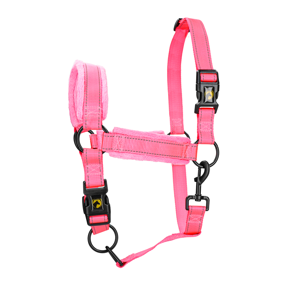 Excellent Superior Halster Roze L