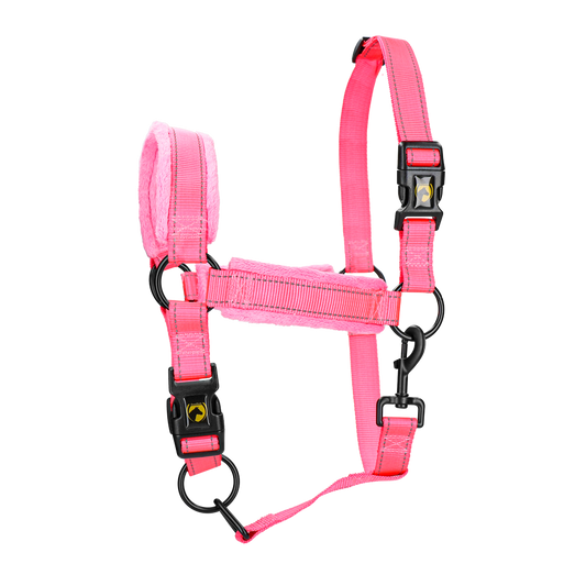Excellent Superior Halster Roze L