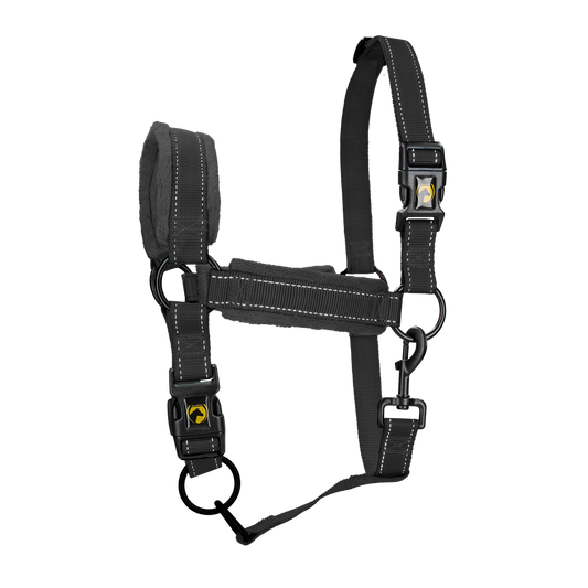 Excellent Superior Halster Zwart XL