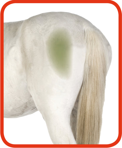 Excellent Horse Hi Gloss Clean Spray 500 ml