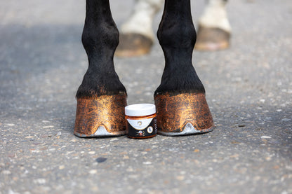 Excellent Horse Hi Gloss Glitter Hoof Polish Orange 150 ml