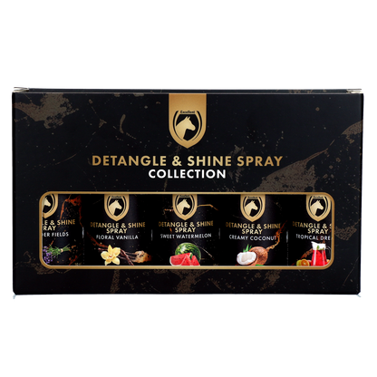 Detangle & Shine Spray Geschenkset 5 x 50 ML