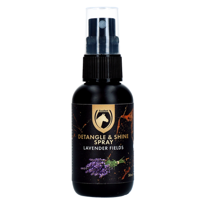 Detangle & Shine Spray Geschenkset 5 x 50 ML
